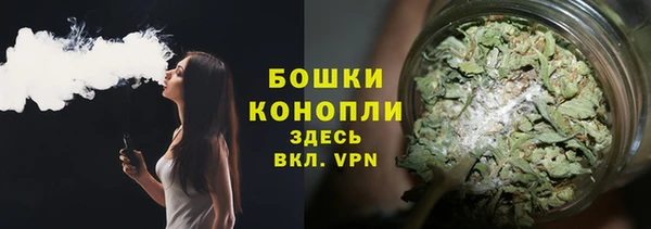 ГАЛЛЮЦИНОГЕННЫЕ ГРИБЫ Надым