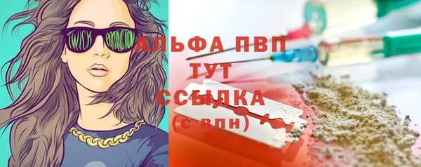 ГАЛЛЮЦИНОГЕННЫЕ ГРИБЫ Надым